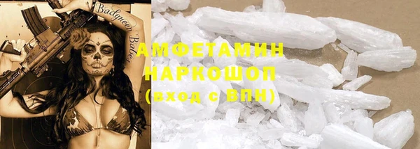 дмт Богданович