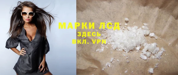 индика Бугульма