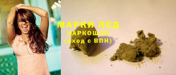 индика Бугульма