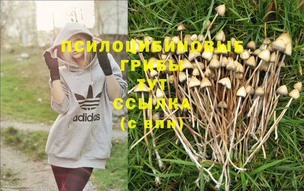 индика Бугульма