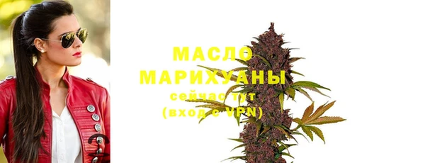 индика Бугульма