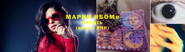 индика Бугульма