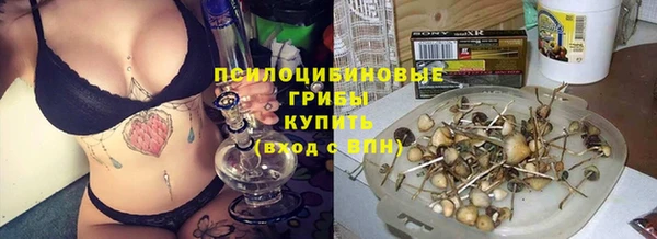 индика Бугульма